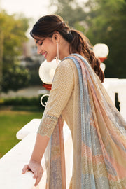 Pure Organdy Block Print Straight Cut Salwar Suit In Beige Color